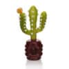 Cactus Honeycomb Pot Hand Pipe