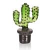 Transparent Cactus Pot Hand Pipe